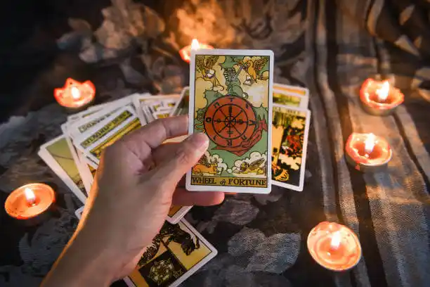 tarot cards Scooba